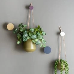 Produits populaires -Meubles d'appoint Soldes lot de 4 pateres ronds multicouleur 1