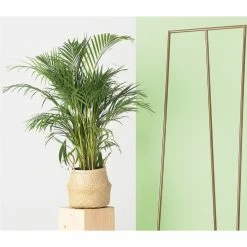 Custom Form Portemanteaux Et Patères Porte-manteaux Métal Or 60x60x175cm -Meubles d'appoint Soldes porte manteaux metal or 60x60x175cm 5